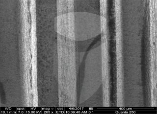 Registre-se para poder abrir essa imagem gratuitamente.