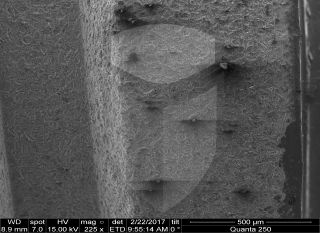 Registre-se para poder abrir essa imagem gratuitamente.