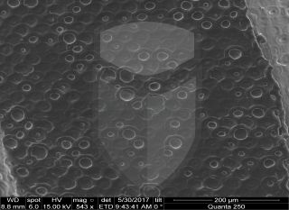 Registre-se para poder abrir essa imagem gratuitamente.