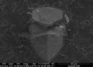 Registre-se para poder abrir essa imagem gratuitamente.