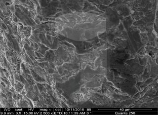 Registre-se para poder abrir essa imagem gratuitamente.