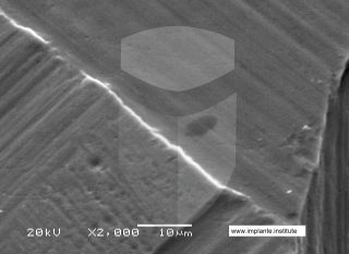 Registre-se para poder abrir essa imagem gratuitamente.