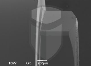 Registre-se para poder abrir essa imagem gratuitamente.