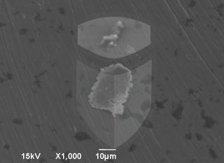 Registre-se para poder abrir essa imagem gratuitamente.