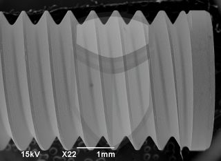 Registre-se para poder abrir essa imagem gratuitamente.