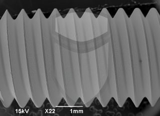 Registre-se para poder abrir essa imagem gratuitamente.