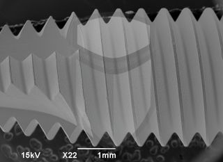 Registre-se para poder abrir essa imagem gratuitamente.