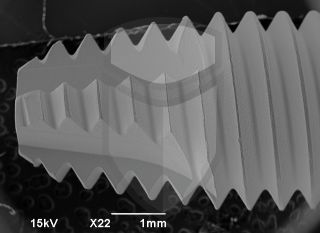 Registre-se para poder abrir essa imagem gratuitamente.