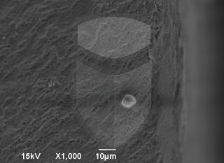 Registre-se para poder abrir essa imagem gratuitamente.