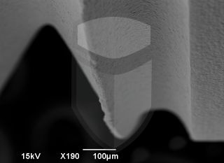 Registre-se para poder abrir essa imagem gratuitamente.