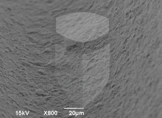 Registre-se para poder abrir essa imagem gratuitamente.