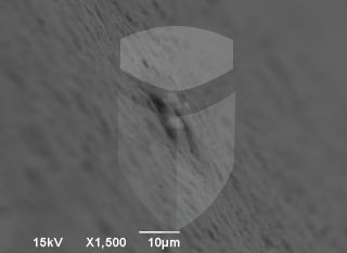 Registre-se para poder abrir essa imagem gratuitamente.