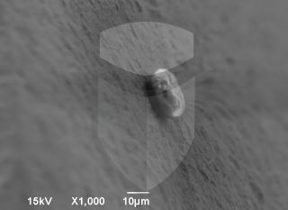 Registre-se para poder abrir essa imagem gratuitamente.