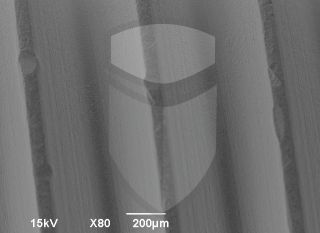 Registre-se para poder abrir essa imagem gratuitamente.