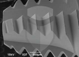 Registre-se para poder abrir essa imagem gratuitamente.