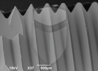 Registre-se para poder abrir essa imagem gratuitamente.