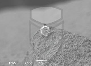 Registre-se para poder abrir essa imagem gratuitamente.