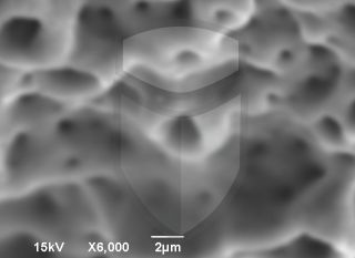 Registre-se para poder abrir essa imagem gratuitamente.