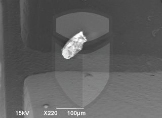 Registre-se para poder abrir essa imagem gratuitamente.