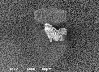 Registre-se para poder abrir essa imagem gratuitamente.