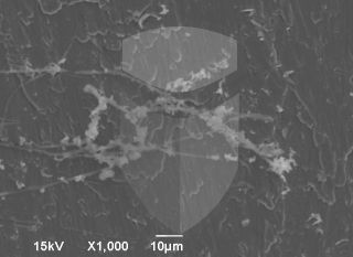 Registre-se para poder abrir essa imagem gratuitamente.