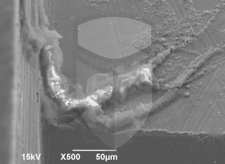 Registre-se para poder abrir essa imagem gratuitamente.