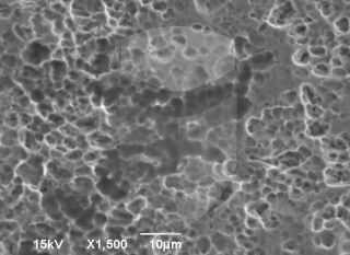 Registre-se para poder abrir essa imagem gratuitamente.