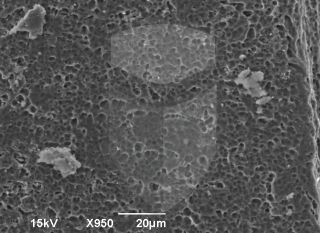 Registre-se para poder abrir essa imagem gratuitamente.