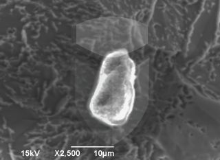 Registre-se para poder abrir essa imagem gratuitamente.