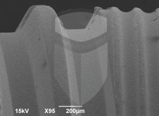 Registre-se para poder abrir essa imagem gratuitamente.