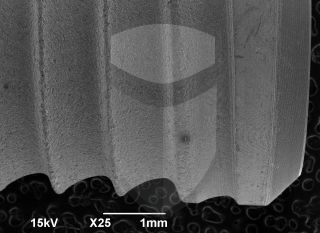 Registre-se para poder abrir essa imagem gratuitamente.