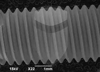 Registre-se para poder abrir essa imagem gratuitamente.