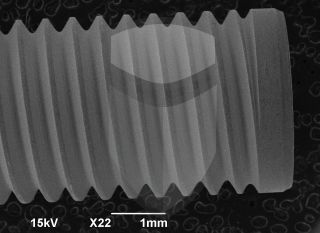 Registre-se para poder abrir essa imagem gratuitamente.