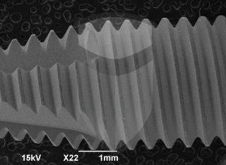 Registre-se para poder abrir essa imagem gratuitamente.