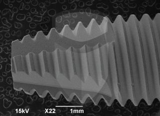 Registre-se para poder abrir essa imagem gratuitamente.