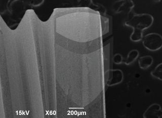 Registre-se para poder abrir essa imagem gratuitamente.