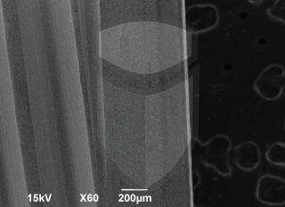 Registre-se para poder abrir essa imagem gratuitamente.