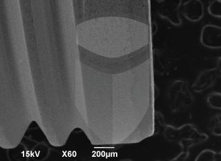 Registre-se para poder abrir essa imagem gratuitamente.