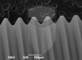 Registre-se para poder abrir essa imagem gratuitamente.