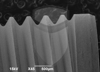 Registre-se para poder abrir essa imagem gratuitamente.