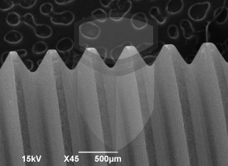 Registre-se para poder abrir essa imagem gratuitamente.