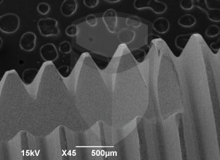 Registre-se para poder abrir essa imagem gratuitamente.