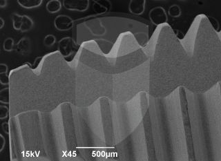 Registre-se para poder abrir essa imagem gratuitamente.