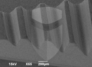 Registre-se para poder abrir essa imagem gratuitamente.