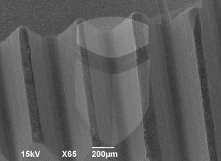 Registre-se para poder abrir essa imagem gratuitamente.