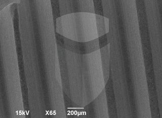 Registre-se para poder abrir essa imagem gratuitamente.