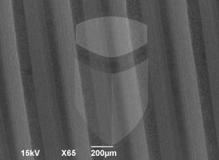 Registre-se para poder abrir essa imagem gratuitamente.