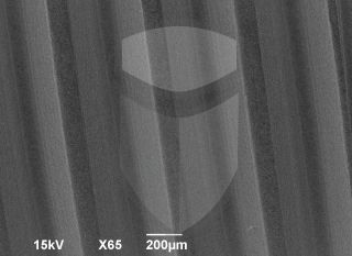 Registre-se para poder abrir essa imagem gratuitamente.