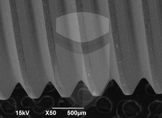 Registre-se para poder abrir essa imagem gratuitamente.