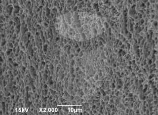 Registre-se para poder abrir essa imagem gratuitamente.